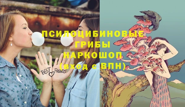а пвп мука Абаза