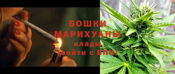 прущая мука Нея