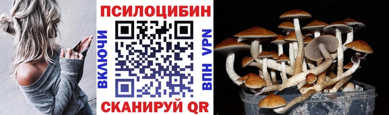 что такое   Тюкалинск  Псилоцибиновые грибы прущие грибы 